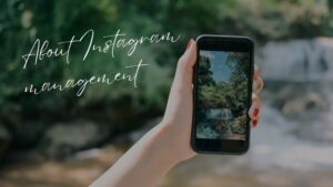 スマホを使って動画を撮影しているところ