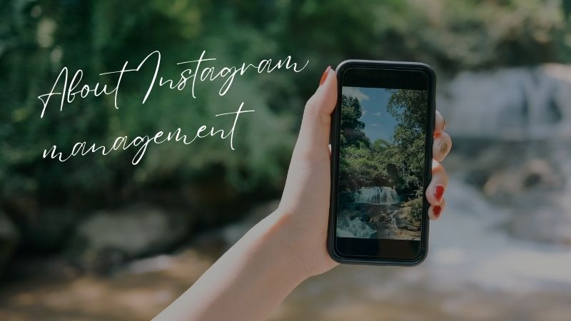 スマホを使って動画を撮影しているところ